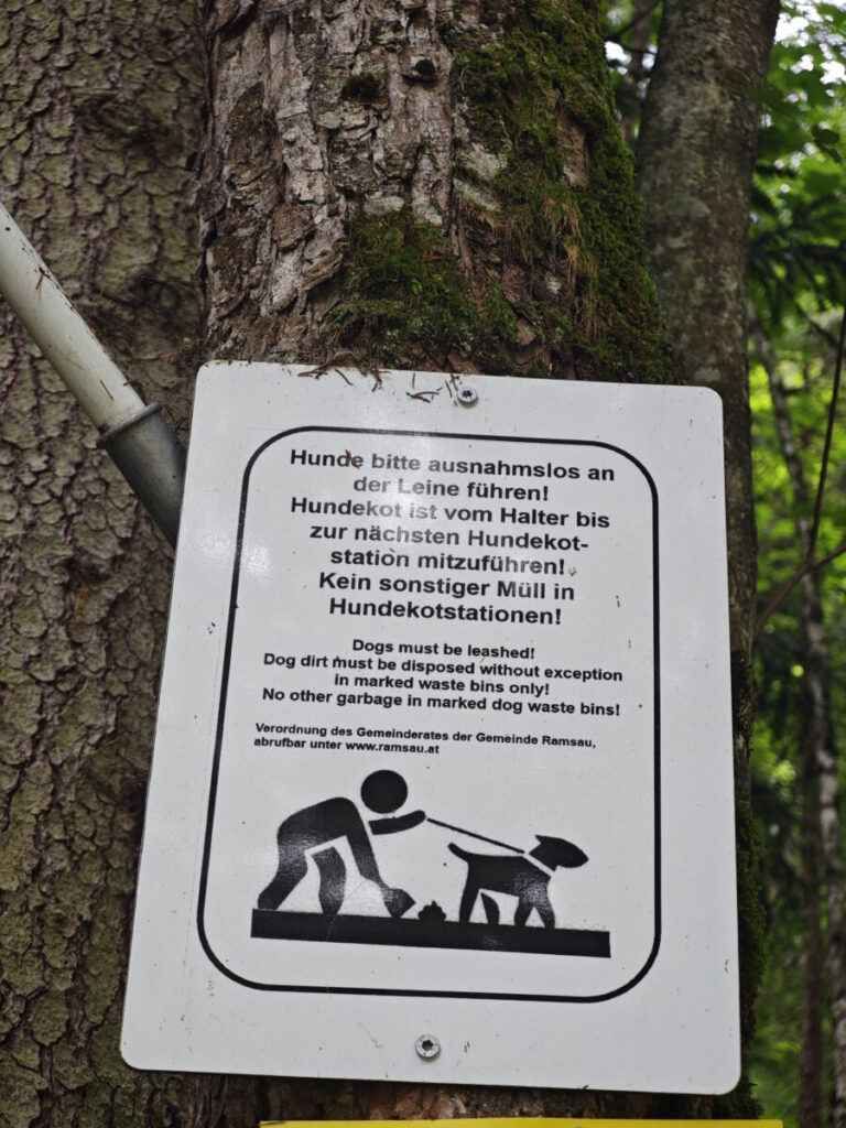 Silberkarklamm mit Hund